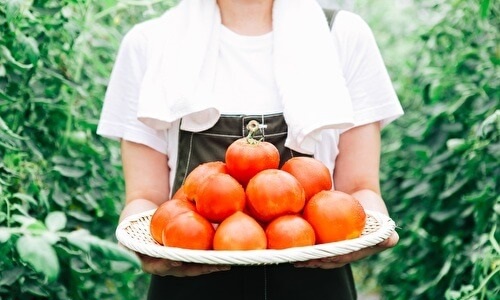 トマトを持つ女性農家