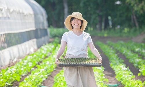 野菜の苗を持つ農家