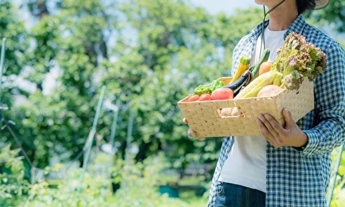 野菜の箱を持つ農家