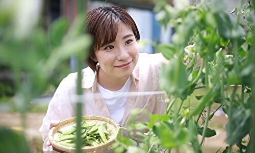 野菜を収穫する女性