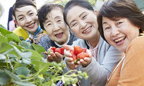 観光農園のやりがい・魅力 人とのつながりを感じられる農業