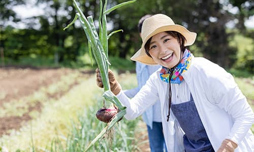 沖縄・離島で住み込み農業を始めるならジモベジワークスがオススメ！