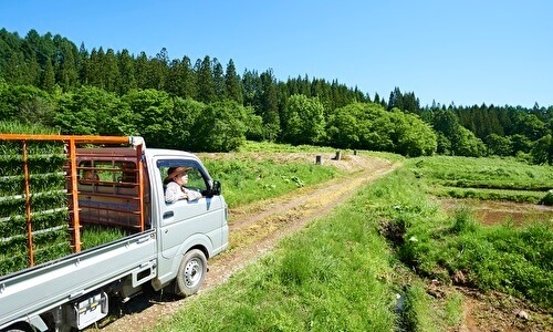 トラックを運転する女性農家