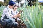 農業体験とは？子どもの食育や新規就農に役立つと人気の事例をご紹介