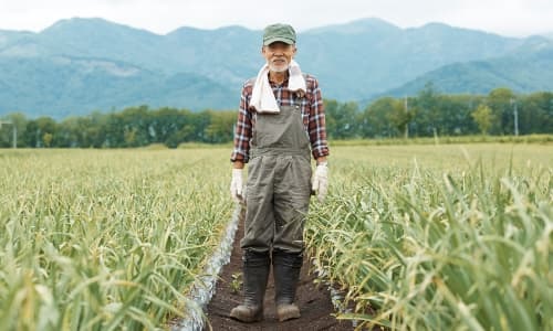 畑に立つ老人農家