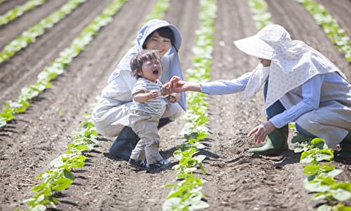 畑で泣いている子供