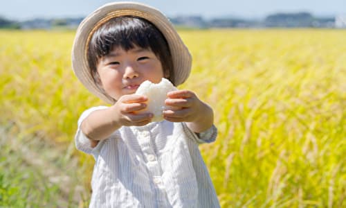 おにぎりを持っている女の子