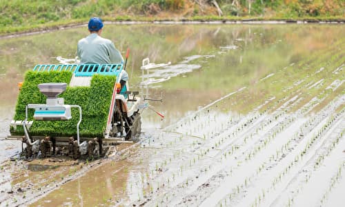 農業機械で田植えをする農家