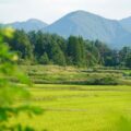 田舎暮らしの仕事23選！求人例や探し方、地方移住の方法を紹介