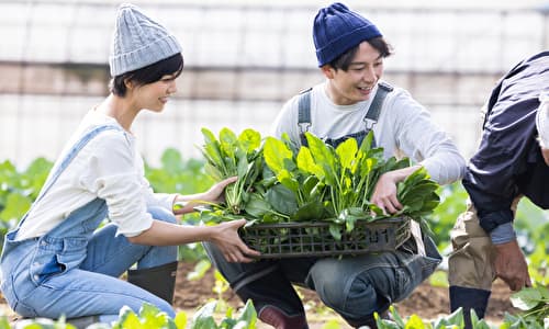 農業をする若い男女