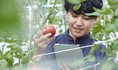 トマトとタブレットを持つ若い農家