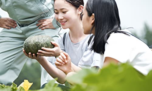 かぼちゃを持つ若い女性農家