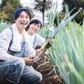 ネギ農家のカップル