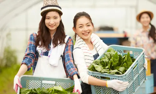 収穫物のかごを抱える農業女子たち