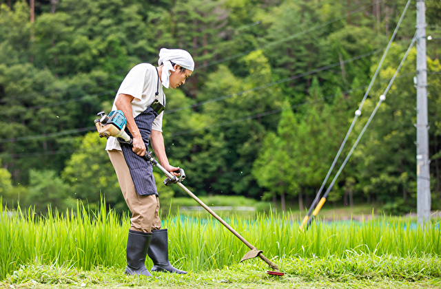 就農の基礎知識 農業における正社員とアルバイトの違い