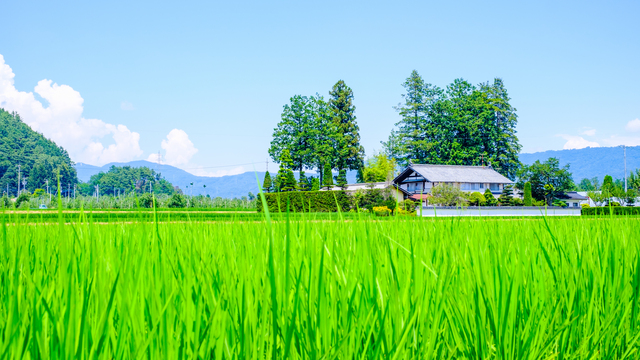 地方移住のイメージ画像