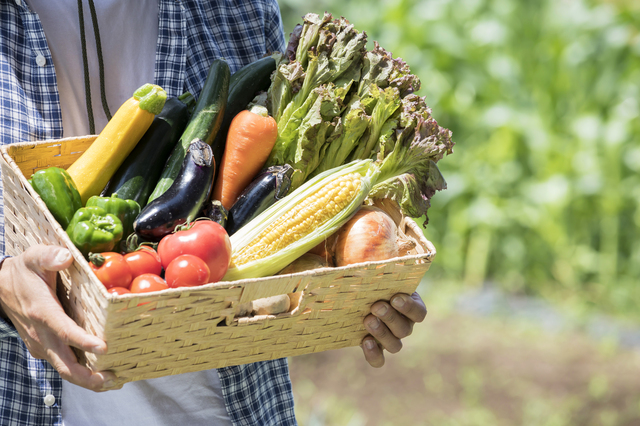 野菜を持つ男性のイメージ