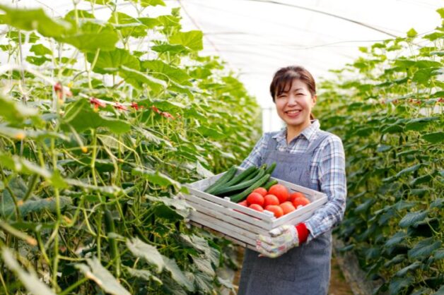 静岡市・三島市・伊豆の国市の農業求人バイト情報◎人気の農家を紹介