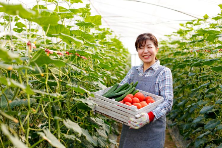 静岡市・三島市・伊豆の国市の農業求人バイト情報◎人気の農家を紹介