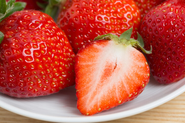 岡山県 いちご 直売所 品種