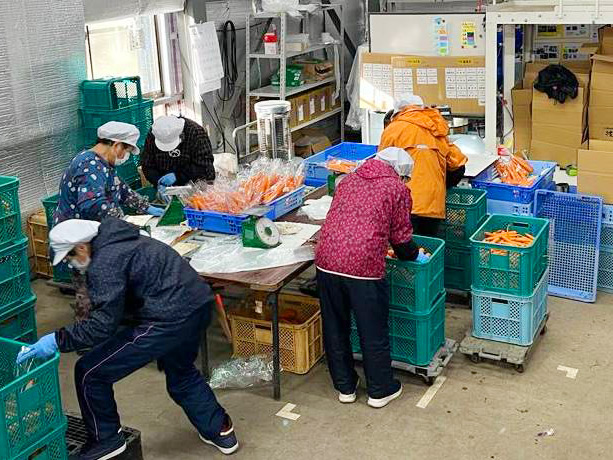 株式会社 まどか菜園