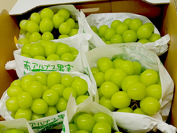 ゆずの日の出農園