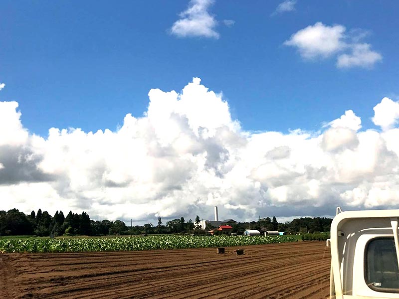 米田ファーム