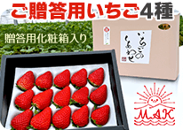 ご贈答用いちご4種｜株式会社マーコ