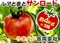 レアとまと サンロード｜うまベジ合同会社