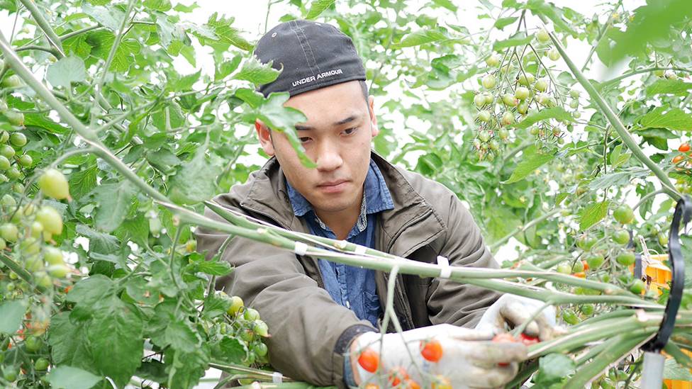 菅谷農園