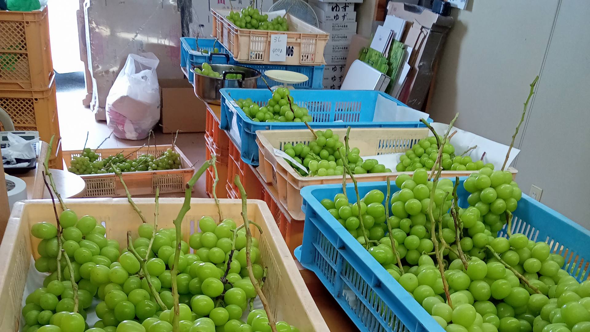 ゆずの日の出農園