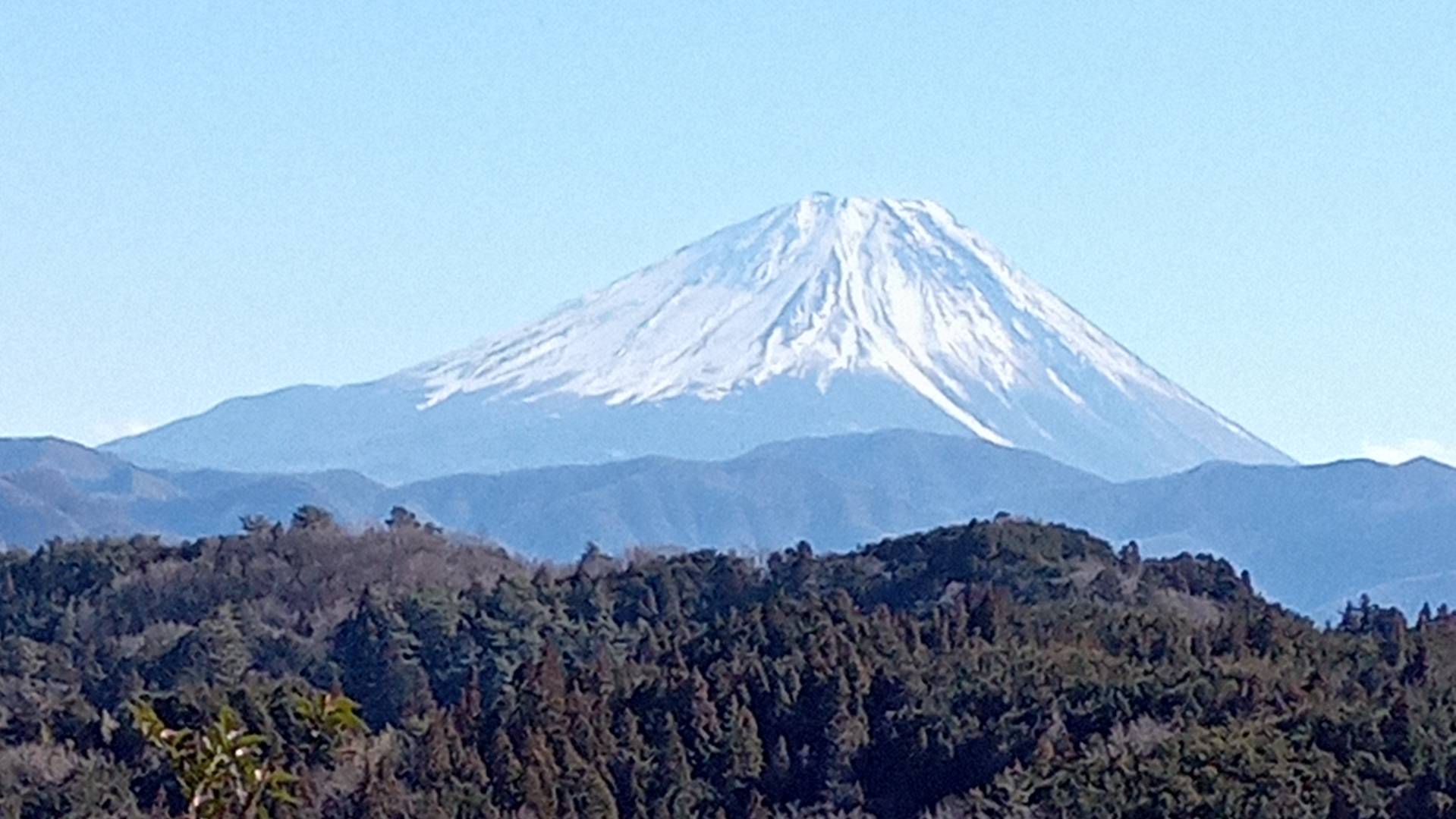 ゆずの日の出農園